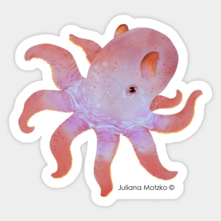 Dumbo Octopus Sticker